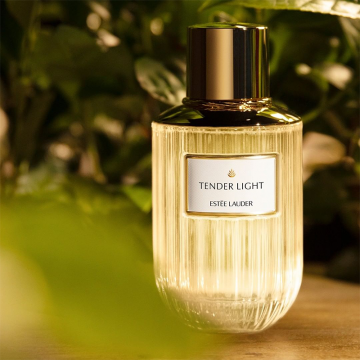 Estée Lauder Tender Light Eau de Parfum 100ml | apothecary.rs
