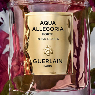 Guerlain Aqua Allegoria Rosa Rossa Forte Eau de Parfum 75ml | apothecary.rs