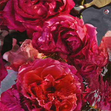 Guerlain Aqua Allegoria Rosa Rossa Forte Eau de Parfum 75ml | apothecary.rs