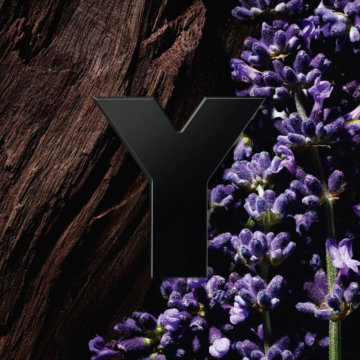 YSL Yves Saint Laurent YSL Y Le Parfum 60ml | apothecary.rs