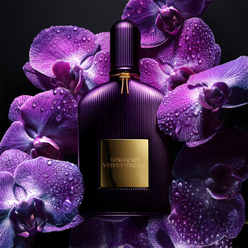 Tom Ford Velvet Orchid Eau de Parfum (Signature Collection) 100ml | apothecary.rs