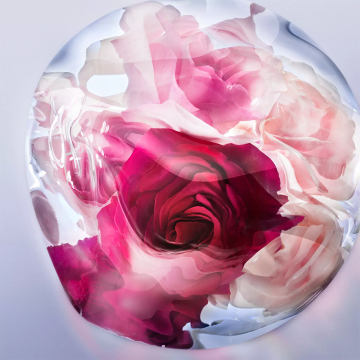 Lancôme La Vie est Belle Rose Extraordinaire Eau de Parfum 50ml | apothecary.rs