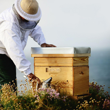 Guerlain Abeille Royale Honey Treatment Night Cream 50ml | apothecary.rs