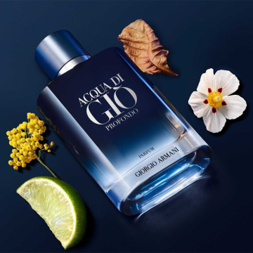 Giorgio Armani Acqua Di Giò Profondo Parfum 50ml | apothecary.rs