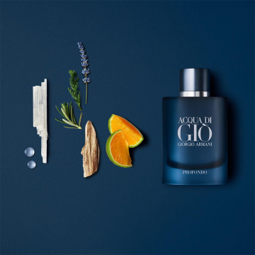 Giorgio Armani Acqua Di Giò Profondo Eau de Parfum 100ml | apothecary.rs