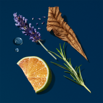 Giorgio Armani Acqua Di Giò Profondo Eau de Parfum 125ml | apothecary.rs