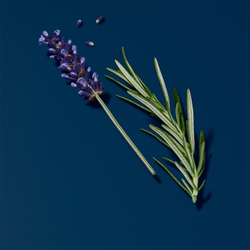 Giorgio Armani Acqua Di Giò Profondo Eau de Parfum 100ml | apothecary.rs