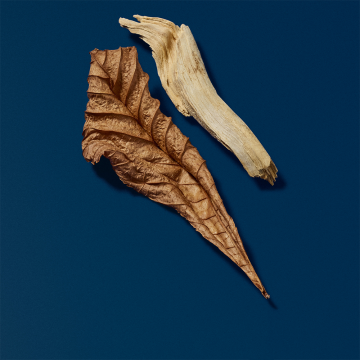 Giorgio Armani Acqua Di Giò Profondo Eau de Parfum 125ml | apothecary.rs