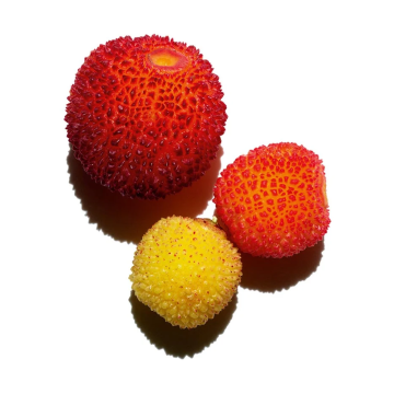 Clarins Hydra-Essentiel [HA² + Polyphenols] Hydrating Bi-Phase Serum 30ml | apothecary.rs