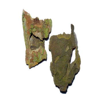 Clarins Youth-protecting Sunscreen SPF30 (Visage / Face) 50ml | apothecary.rs