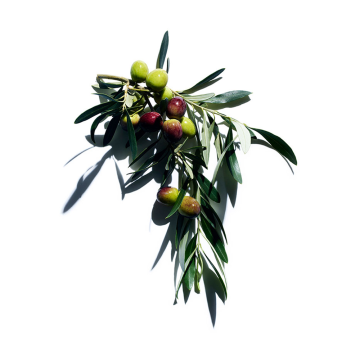 Clarins Youth-protecting Sunscreen SPF30 (Visage / Face) 50ml | apothecary.rs