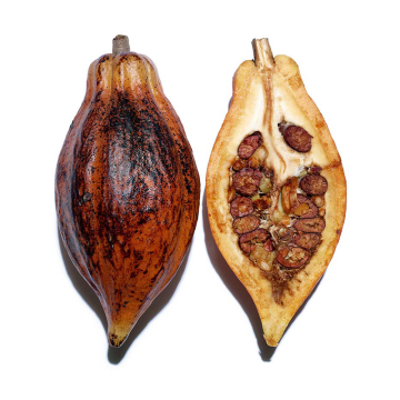 Clarins Glowing Sun Oil SPF30 (Body & hair) 150ml | apothecary.rs