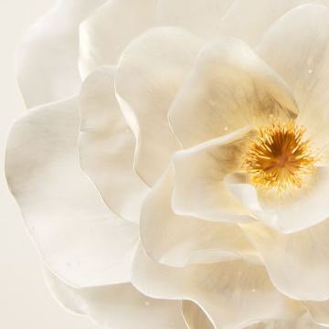 Kérastase Elixir Ultime L'Huile Originale Hair Oil 75ml | apothecary.rs