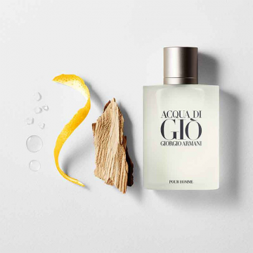 Giorgio Armani Acqua Di Giò Eau de Toilette 200ml | apothecary.rs