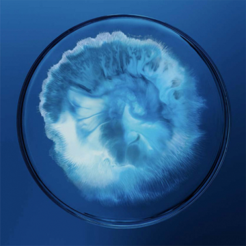 Biotherm Biocorps Anti-Bump Body Serum 200ml | apothecary.rs