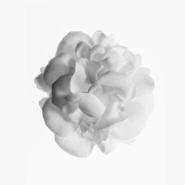 Chanel La Crème Main 50ml | apothecary.rs