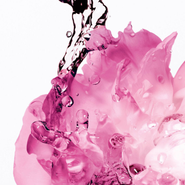 Miss Dior Indulgent Shower Gel with Rose Water 175ml | apothecary.rs