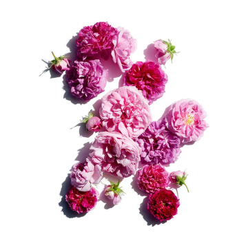 Clarins Fix' Make-Up 50ml | apothecary.rs