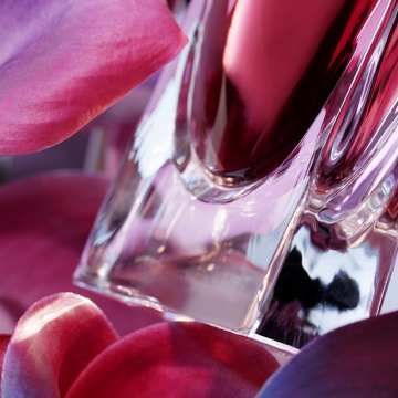 Lancôme La Vie est Belle L'Elixir Eau de Parfum 50ml | apothecary.rs
