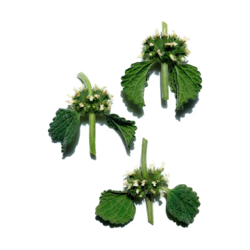 Clarins Multi-Active Glow Boosting Emulsion 100ml | apothecary.rs