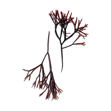 Clarins Multi-Active Glow Boosting Emulsion 100ml | apothecary.rs