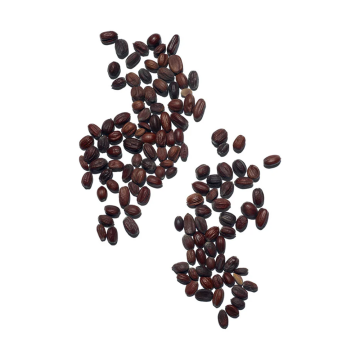 Clarins Lip Oil Balm (N°05 Cherry) 2.9g | apothecary.rs