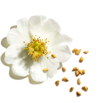 Clarins Lip Oil Balm (N°03 Lychee) 2.9g | apothecary.rs