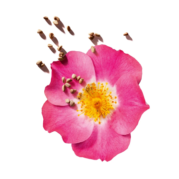 Clarins Lip Oil Balm (N°01 Pale Pink) 2.9g | apothecary.rs