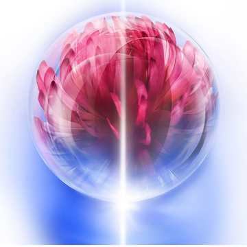 Shiseido Bio-Performance Skin HIForce Cream (Refill / Dopuna) 50ml | apothecary.rs