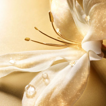 Estée Lauder Re-Nutriv Ultimate Lift Regenerating Youth Eye Cream Rich 15ml | apothecary.rs