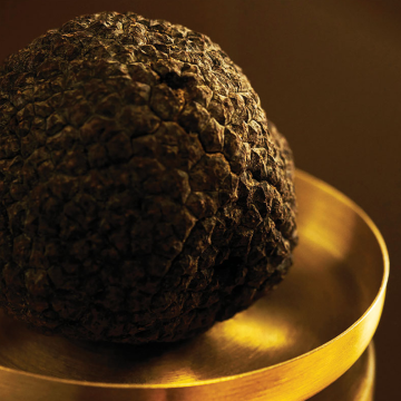 Estée Lauder Re-Nutriv Ultimate Diamond Transformative Energy Eye Crème 15ml | apothecary.rs