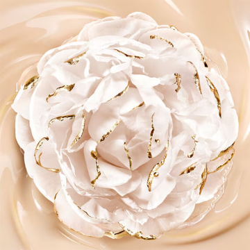 Guerlain Parure Gold Skin Control (N°5N Neutral) 8.7g | apothecary.rs