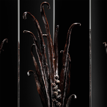 YSL Yves Saint Laurent MYSLF Le Parfum Holiday Duo Gift Set | apothecary.rs