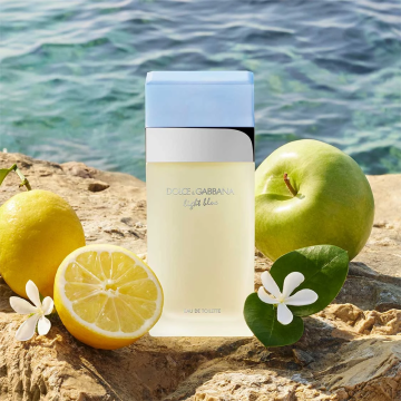 Dolce & Gabbana Light Blue Pour Femme Eau de Toilette Set | apothecary.rs