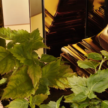 Dolce&Gabbana The One For Men Eau de Parfum Gold Intense 50ml