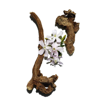 Clarins Hydrating Gentle Foaming Cleanser 125ml | apothecary.rs