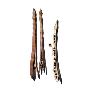 Clarins Hydrating Gentle Foaming Cleanser 125ml | apothecary.rs