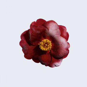 Chanel N°1 de Chanel Revitalizing Eye Serum (Refill / Dopuna) 15ml | apothecary.rs