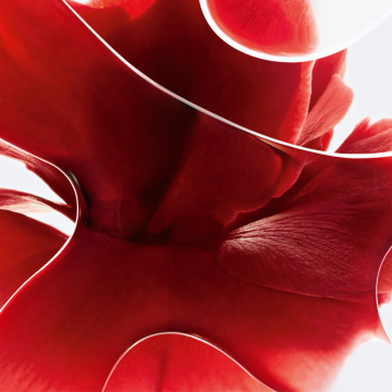 Chanel N°1 de Chanel Revitalizing Eye Cream 15g | apothecary.rs