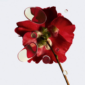 Chanel N°1 de Chanel Revitalizing Eye Cream 15g | apothecary.rs