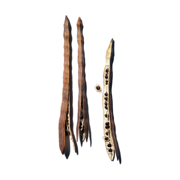 Clarins One-Step Gentle Exfoliating Cleanser 50ml | apothecary.rs