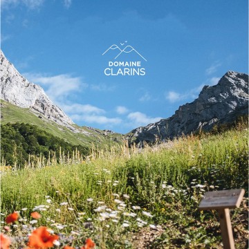 Clarins One-Step Gentle Exfoliating Cleanser 50ml | apothecary.rs