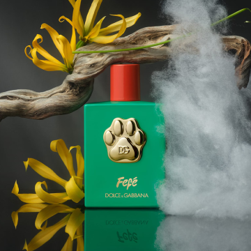 Dolce&Gabbana Fefé Dog Fragrance Mist 100ml | apothecary.rs