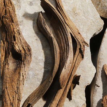 Dolce&Gabbana Light Blue Pour Femme Eau de Toilette (Refill / Dopuna) 150ml | apothecary.rs