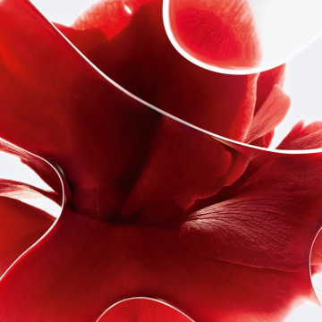 Chanel N°1 De Chanel Red Camellia Serum-In-Mist 50ml