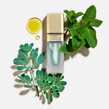 Dolce&Gabbana Mint Oil Lip Plumper 7ml | apothecary.rs