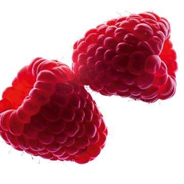 Clarins Water Lip Stain (N°13 Nude Water) 7ml | apothecary.rs