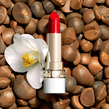 Clarins Joli Rouge Shine Lipstick (N°742S Joli Rouge) 3.5g | apothecary.rs