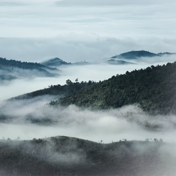 Guerlain Orchidée Impériale The Oil in Gel 150ml | apothecary.rs