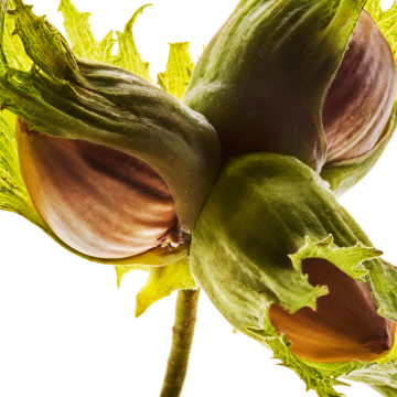 Clarins Lip Comfort Oil (N°54 Iconic Red) 10 Years Anniversary Limited Edition 7ml | apothecary.rs